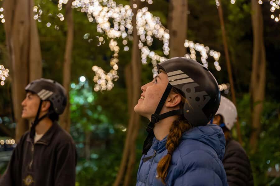 2.5 Hour Brisbane: Sightseeing Tours - Morning & Night - Key Things I’d Tell a Friend Before You Go