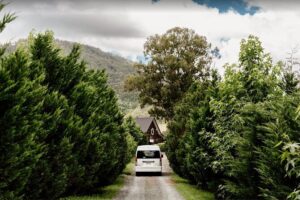 Barefoot Luxury Mount Tamborine Winery Tour from Brisbane - The national park pause: why this stop is more than a photo break
