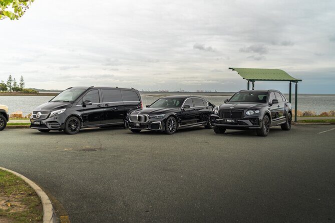 Brisbane Airport: Shared Transfer to Gold Coast - Bags, kids, and the stuff that can slow you down