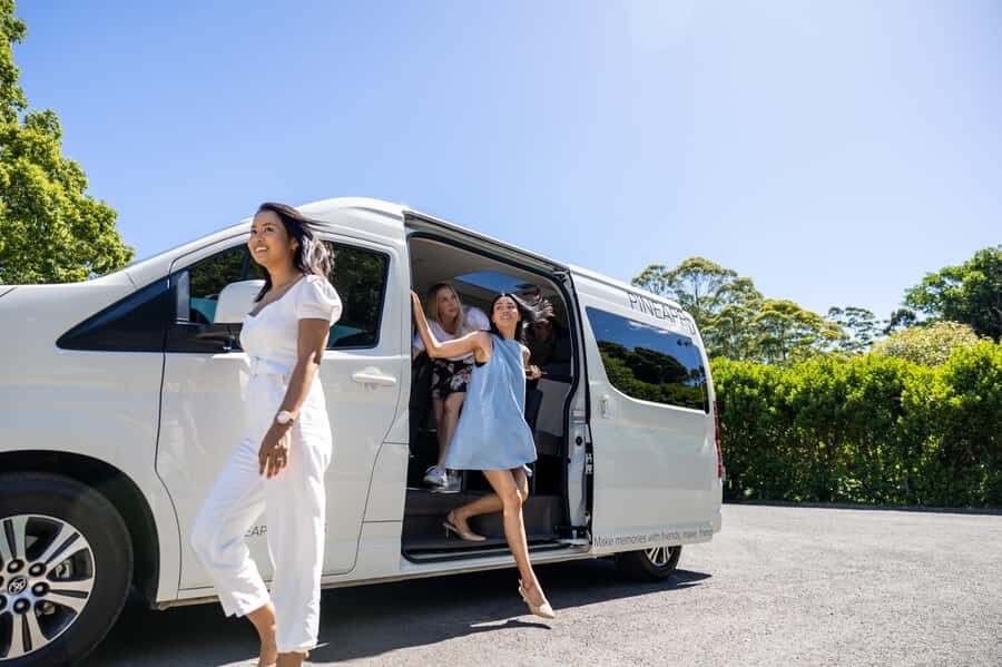Brisbane: Boutique Winery Tour with Gourmet Lunch - The value of a boutique winery day at $211