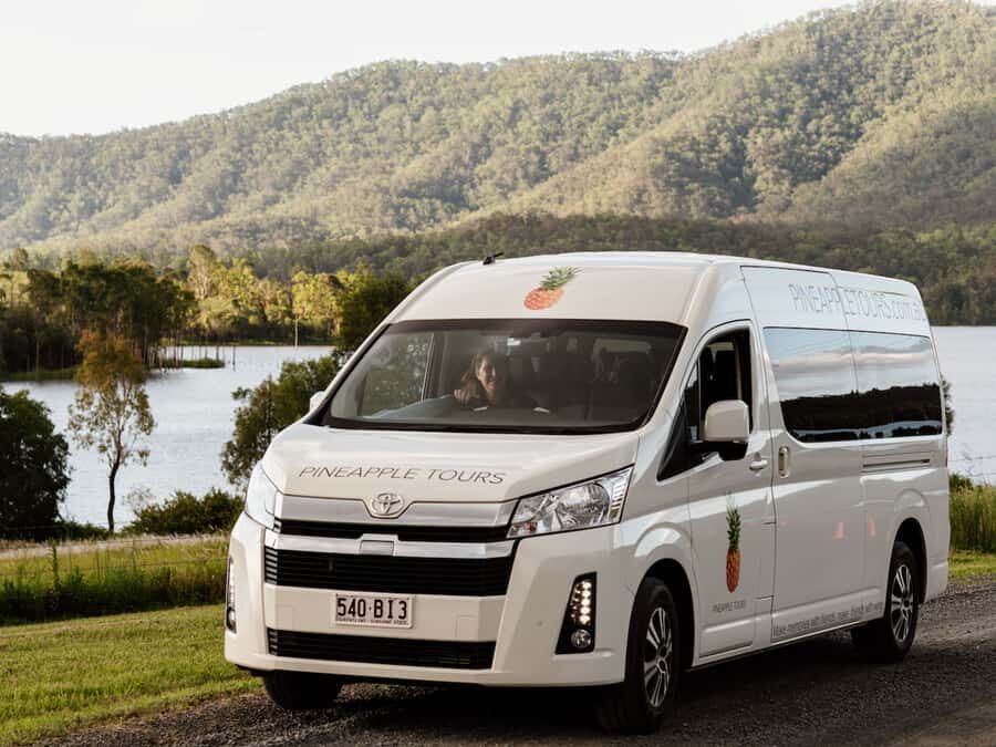 Brisbane: Daytime Glow Worm Caves Hop-on Hop-off Bus Tour - Brisbane Pickup to Tamborine Mountain: Scenic Rim Views Without the Headache