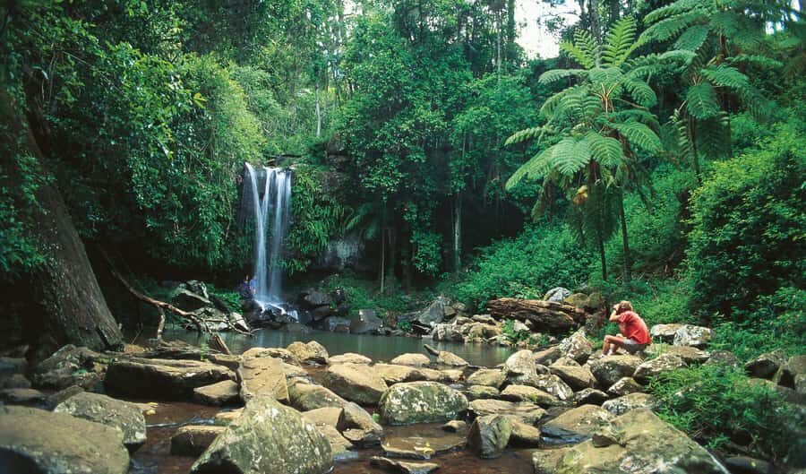 Brisbane: Hop on Hop off Bus to Tamborine Mountain - Green Line vs Red Line: the real idea behind this Tamborine day trip