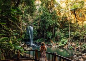 Brisbane: Hop on Hop off Bus to Tamborine Mountain - The Green Line: nature stops that reward slow walking