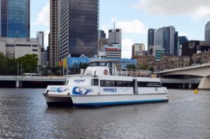 Brisbane River Cruise and Koala Sanctuary Visit - Timed perfectly for people who hate wasted time