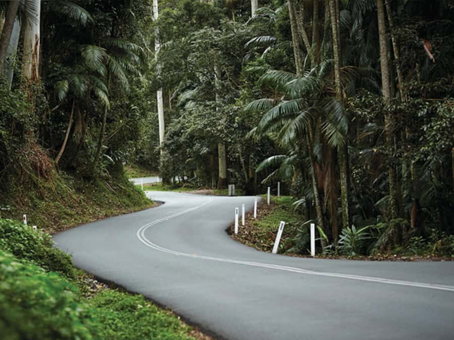 Brisbane: Tamborine Mountain Local Winery Tour with Lunch - When the schedule changes: Monday/Tuesday swaps and occasional add-ons