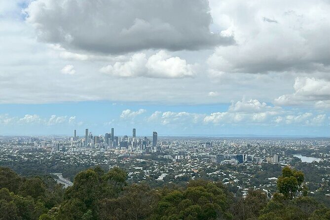 Cruise Lines Shore Tour Brisbane Highlights and Lone Pine - Brisbane shore tours that actually make sense