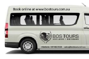 Deluxe Springbrook & Mt Tamborine Glow Worms and famous Skywalk - Getting picked up in Brisbane and keeping the pace realistic