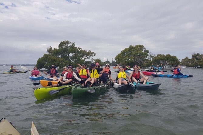 Guided Kayak Adventure Tour - Wildlife spotting that actually has a plan
