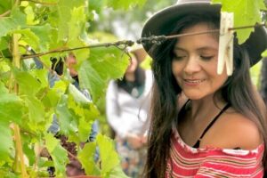 Hinterland Heritage Wine Tour - Stop 1: Albert River Wines and its Premier-era heritage setting