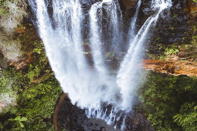 Koalas, 6 Springbrook Waterfalls and Natural Bridge Day Tour - Key highlights worth planning for