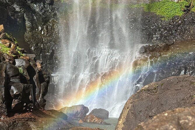 Koalas, 6 Springbrook Waterfalls and Natural Bridge Day Tour - What the 9-Hour Small-Group Format Really Means for You