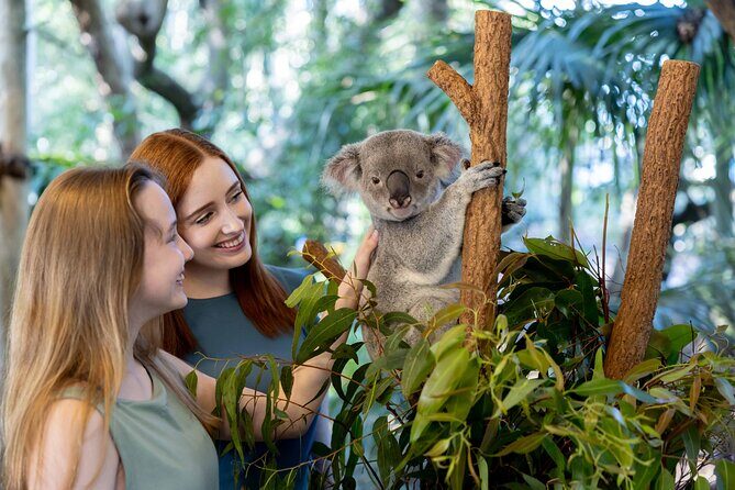 Lone Pine Koala Sanctuary Day Pass - Lone Pine Koala Sanctuary: a compact wildlife park with real purpose