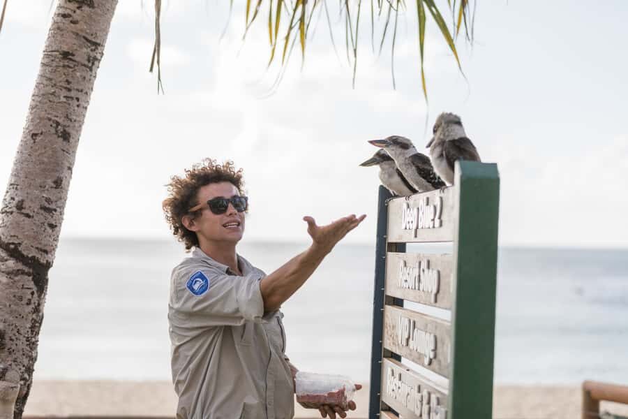 Moreton Island: Desert Safari Tour & Dolphin Viewing - Sand Tobogganing up to 40 km/h: How the Excitement Works
