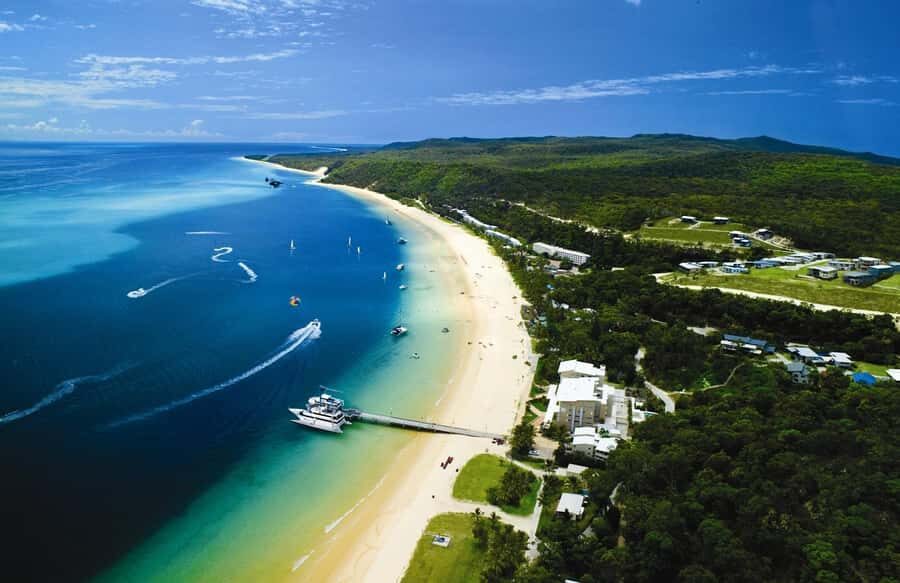Moreton Island: Tangalooma Day Trip Marine Discovery Cruise - Return to Brisbane by 4:00 PM: plan for the last stretch