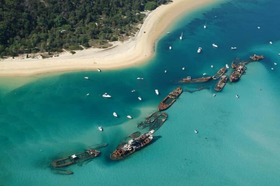 Moreton Island: Tangalooma Day Trip with Snorkeling Tour - Should you book this Tangalooma Day Trip with Wreck Snorkeling?