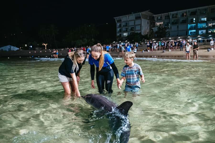 Moreton Island: Tangalooma Desert Safari and Dolphin Feeding - Tangalooma Island Resort day pass: where the real relaxation happens