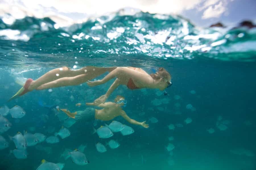 Moreton Island: Tangalooma Snorkeling Tour & Dolphin Feeding - Guided snorkel at the shipwrecks: gear, timing, and what to look for