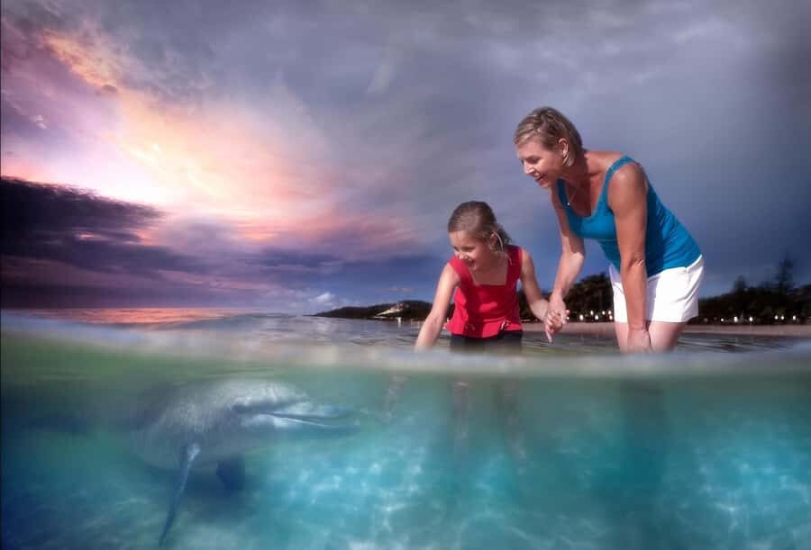 Moreton Island: Tangalooma Snorkeling Tour & Dolphin Feeding - Who this trip fits best (and who should think twice)