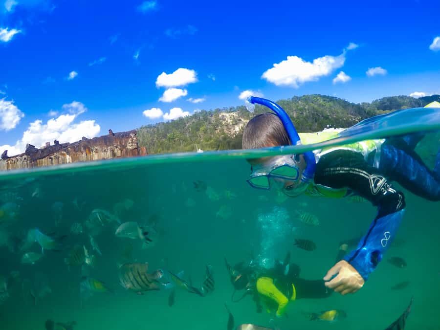 Moreton Island: Tangalooma Snorkeling Tour & Dolphin Feeding - Should you book the Moreton Island Tangalooma Snorkeling and Dolphin Feeding tour?
