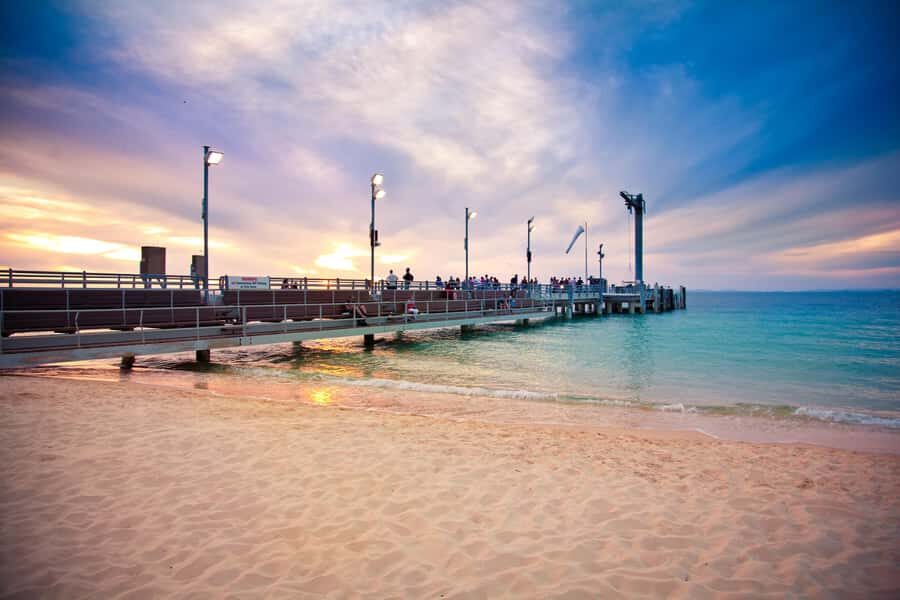 Moreton Island: Tangalooma Whale Watching & Dolphin Feeding - Price and value: is $162 per person a fair deal?