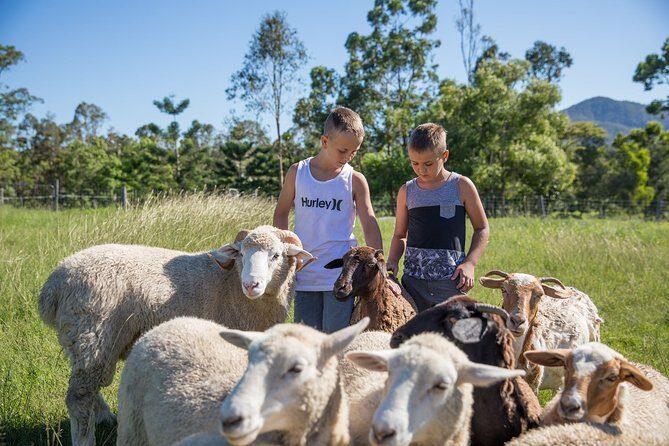 Trevena Glen 1hr Animal Tour - Quick highlights